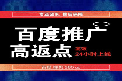 百度竞价广告成功案例：如何实现ROI最大化
